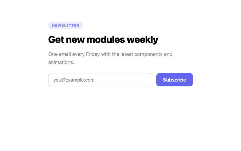 Newsletter Section preview